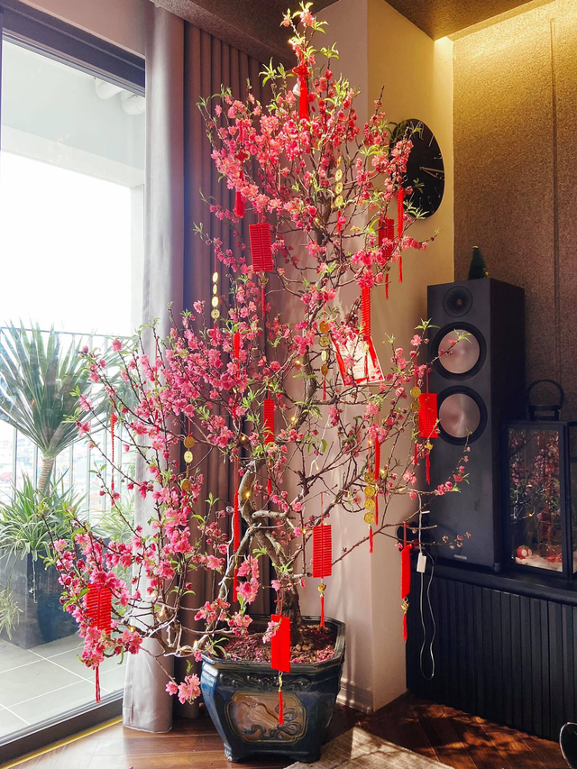 5 loài cây trưng Tết được lòng "ông Thần Tài": Bước sang năm mới, gia chủ "cầu gì được nấy"- Ảnh 8.