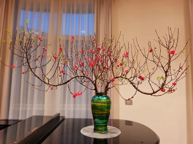 5 loài cây trưng Tết được lòng "ông Thần Tài": Bước sang năm mới, gia chủ "cầu gì được nấy"- Ảnh 7.