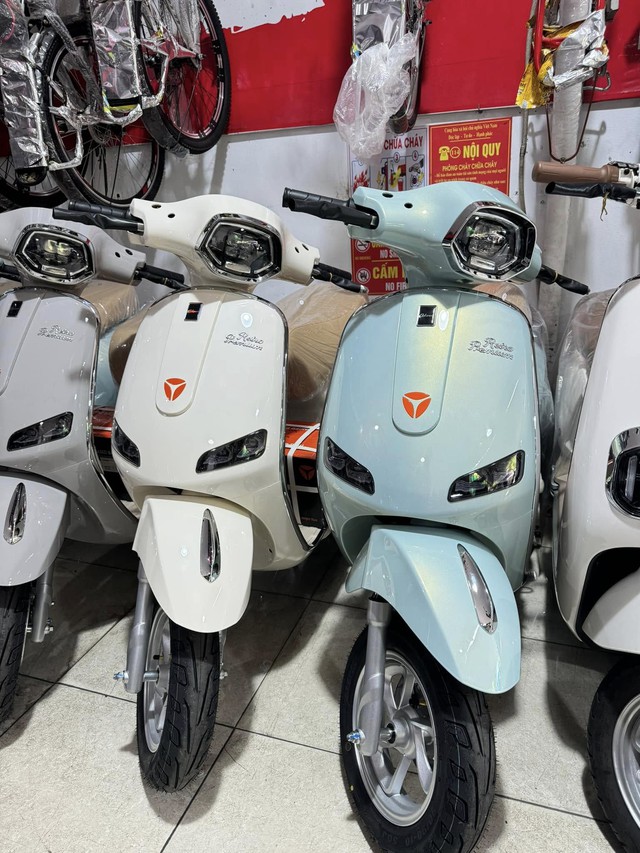 Xe máy điện giá chỉ 16,5 triệu, có smartkey chống trộm, pin chạy 80 km- Ảnh 2.
