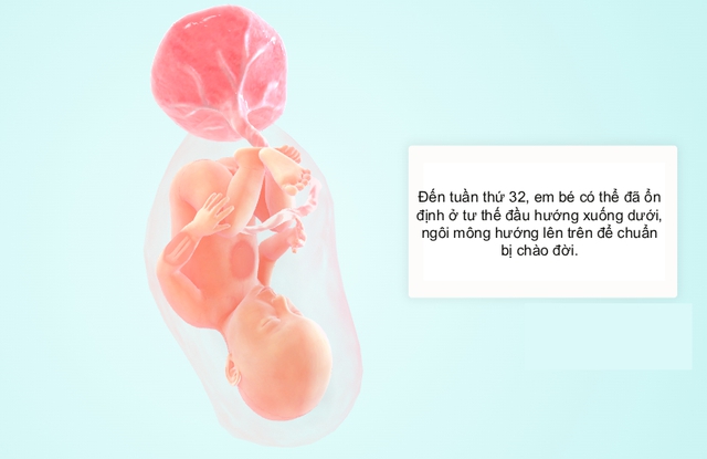 Tuần thai thứ 32: Bé yêu chuẩn bị quay ngôi thai, mẹ có thể đau lưng dưới nặng hơn- Ảnh 5.