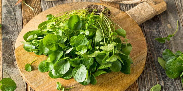 Việt Nam sở hữu loại rau "chống ung thư tốt nhất thế giới", tốt cho sức khỏe tim mạch và xương khớp- Ảnh 1.