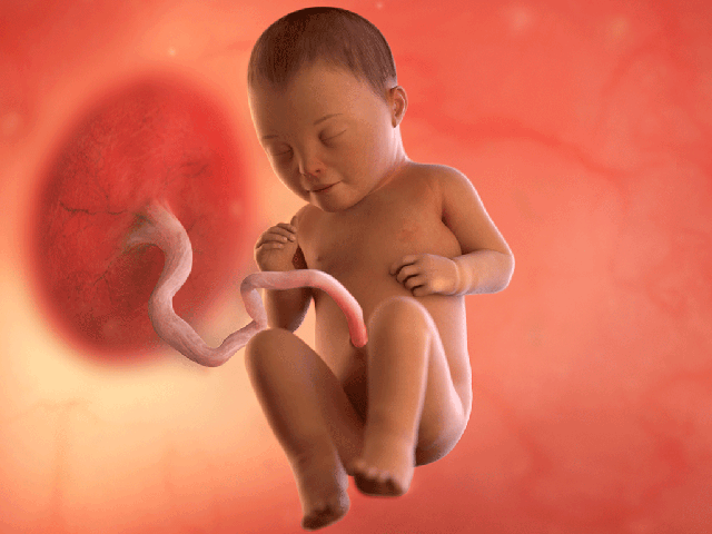 Tuần thai thứ 34: Mọi giác quan của bé đã hoàn thiện, mẹ thấy rõ áp lực lên sàn chậu- Ảnh 2. Tuần thai thứ 34: Mọi giác quan của bé đã hoàn thiện, mẹ thấy rõ áp lực lên sàn chậu- Ảnh 2.