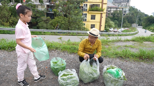 Bé Dọc Mùng - con gái nhạc sĩ Nguyễn Vĩnh Tiến mới 8 tuổi đã thể hiện rất nhiều tài năng - Ảnh 2.