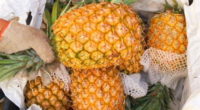 Chợ Việt có loại quả thơm nức mũi, giá rẻ rề chỉ từ 10.000 đồng/kg, quá dễ mua được "hàng tuyển"- Ảnh 2.