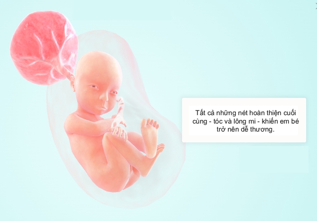 Tuần thai thứ 28: Bé tăng cân nhanh, mẹ bầu đã cảm thấy nặng nề rõ ràng- Ảnh 5.