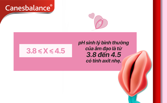 90% phụ nữ từng gặp vấn đề phụ khoa nhưng không phải ai cũng hiểu đúng, bạn có nằm trong số đó?- Ảnh 2.