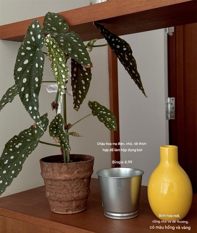 8 món đồ đỉnh nhất IKEA: Cứ lên kệ là bay vèo vèo, Google cũng cạn từ để khen- Ảnh 2.