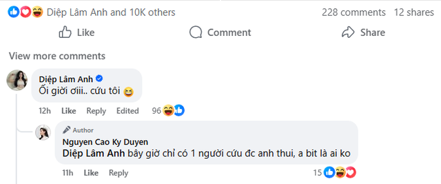 Bóng lưng mỹ nhân khiến Diệp Lâm Anh kêu cứu- Ảnh 3.
