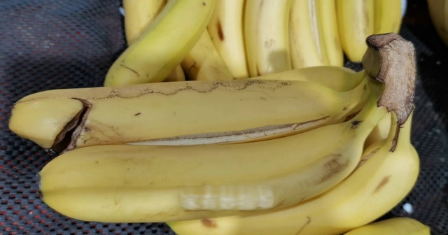 Đi chợ nên mua chuối cong hay chuối thẳng để đảm bảo chất lượng và an toàn- Ảnh 3. Đi chợ nên mua chuối cong hay chuối thẳng để đảm bảo chất lượng và an toàn- Ảnh 3.