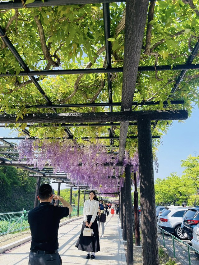 Lấy doanh nhân Viết Vương, Hoa hậu Đỗ Hà được 1 điều khiến bao cô vợ ao ước!- Ảnh 2. Lấy doanh nhân Viết Vương, Hoa hậu Đỗ Hà được 1 điều khiến bao cô vợ ao ước!- Ảnh 2.