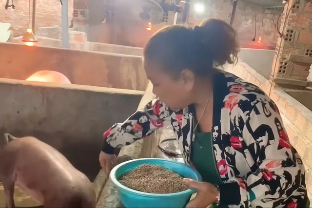 Sao nữ Vbiz tuổi U60: Về quê làm nông "vất vả nhưng vui", mắc nhiều bệnh nhập viện nguy kịch- Ảnh 7. Sao nữ Vbiz tuổi U60: Về quê làm nông "vất vả nhưng vui", mắc nhiều bệnh nhập viện nguy kịch- Ảnh 7.