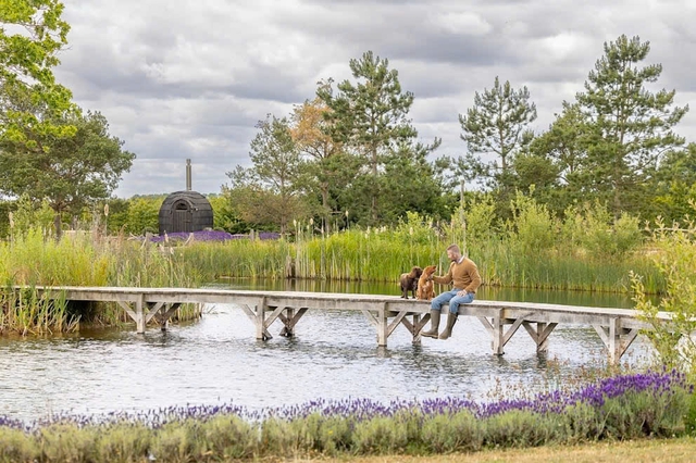 Thú vui của Beckham- Ảnh 2. Thú vui của Beckham- Ảnh 2.