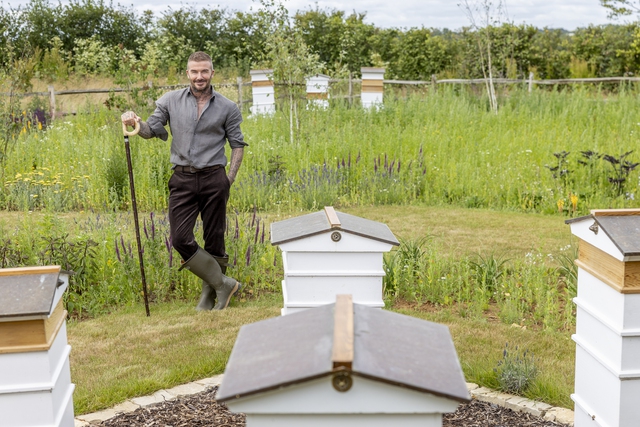 Thú vui của Beckham- Ảnh 1. Thú vui của Beckham- Ảnh 1.