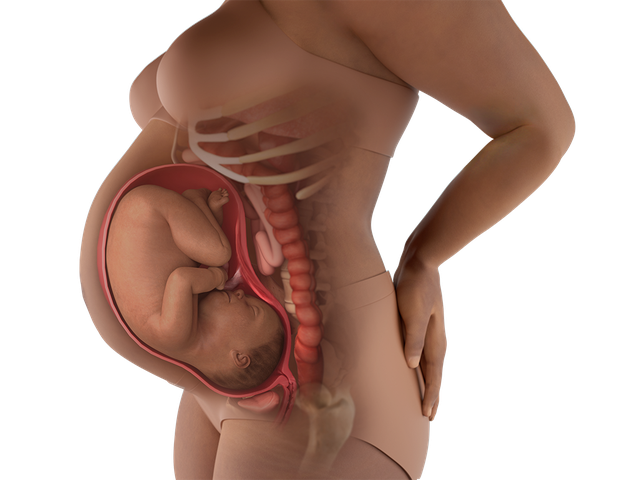 Tuần thai thứ 37: Bé yêu đã đủ tháng để chào đời, mẹ cần khám thai hàng tuần- Ảnh 4. Tuần thai thứ 37: Bé yêu đã đủ tháng để chào đời, mẹ cần khám thai hàng tuần- Ảnh 4.