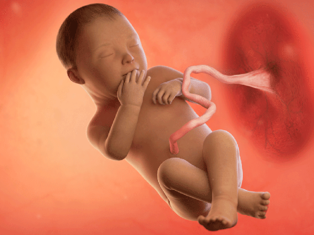 Tuần thai thứ 37: Bé yêu đã đủ tháng để chào đời, mẹ cần khám thai hàng tuần- Ảnh 2. Tuần thai thứ 37: Bé yêu đã đủ tháng để chào đời, mẹ cần khám thai hàng tuần- Ảnh 2.