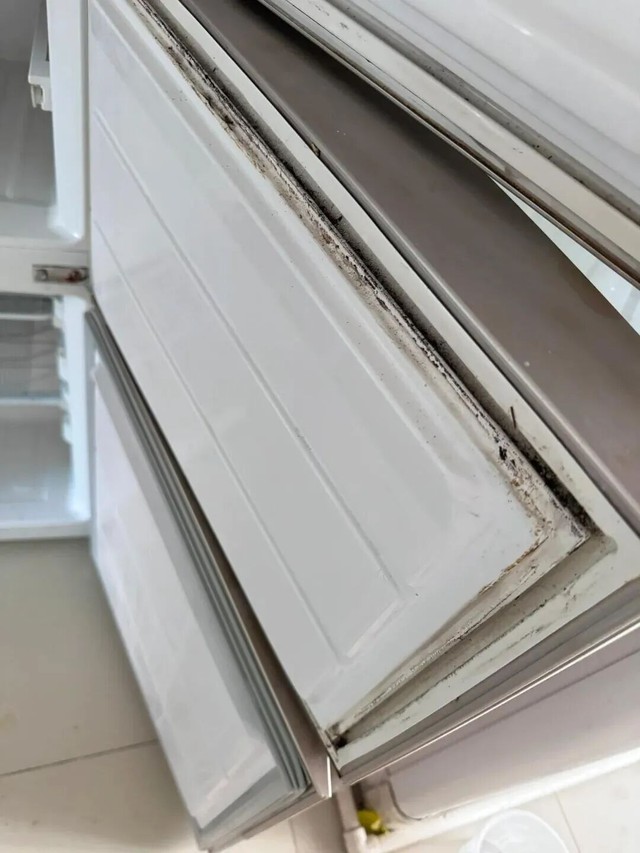 6 thứ tưởng bình thường nhưng bẩn "rợn người" ở ngay trong nhà- Ảnh 6. 6 thứ tưởng bình thường nhưng bẩn "rợn người" ở ngay trong nhà- Ảnh 6.