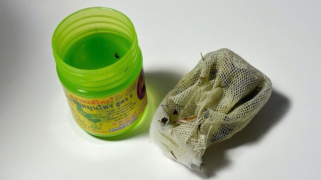 Lisa (BLACKPINK) vạ lây vì hít mũi quốc dân Thái Lan- Ảnh 4.