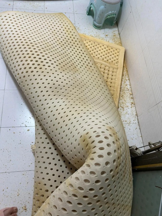 5 loại đệm người trong nghề liệt vào "danh sách đen": ĐỪNG MUA!- Ảnh 1.