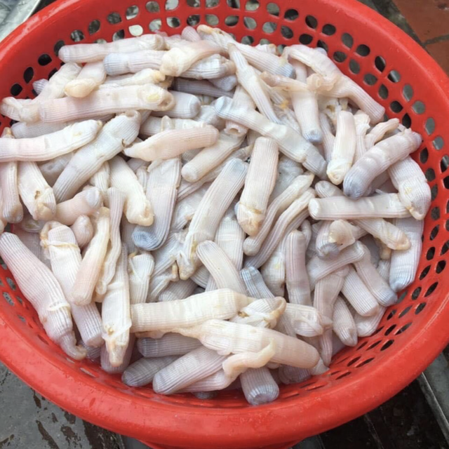 Độc lạ đặc sản trùng biển tên nghe lạ, nhìn trông sợ nhưng cực bổ dưỡng- Ảnh 2.