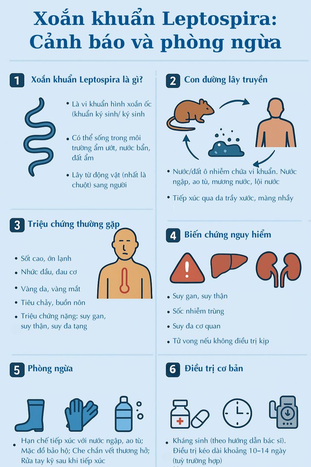 Cảnh Báo: Nguy cơ nhiễm xoắn khuẩn có thể gây suy gan thận và tử vong từ nước ngập- Ảnh 2.