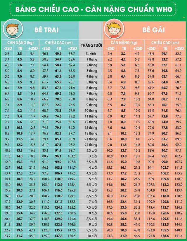 Dinh dưỡng cho trẻ thiếu cân, suy dinh dưỡng cần lưu ý những gì?- Ảnh 1.