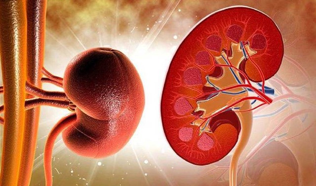 Người cha có phản ứng ngọt ngào khi biết người hiến thận cho mình là cô con gái 24 tuổi mà ông không nghĩ tới- Ảnh 5.
