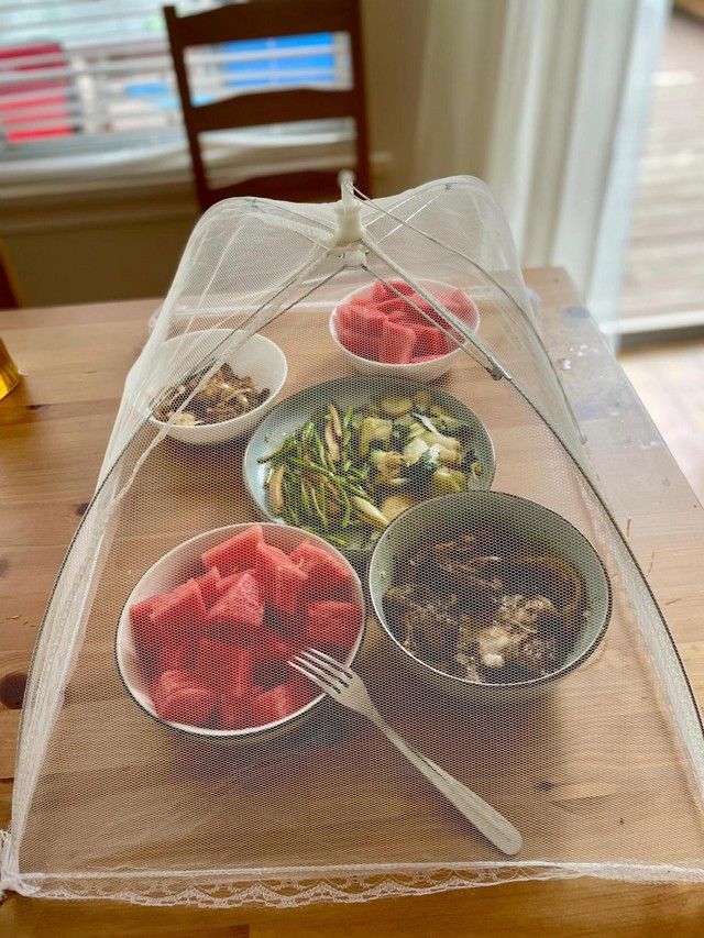 6 thói quen tưởng sạch mà cực bẩn, tôi ước tất cả mọi người biết và tránh- Ảnh 1. 6 thói quen tưởng sạch mà cực bẩn, tôi ước tất cả mọi người biết và tránh- Ảnh 1.