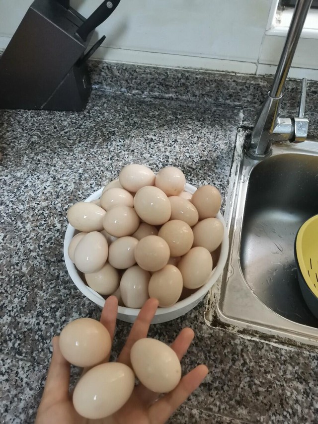 6 thói quen tưởng sạch mà cực bẩn, tôi ước tất cả mọi người biết và tránh- Ảnh 4. 6 thói quen tưởng sạch mà cực bẩn, tôi ước tất cả mọi người biết và tránh- Ảnh 4.