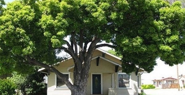 6 dấu hiệu nhà bị âm khí bao vây, càng ở lâu càng xui xẻo- Ảnh 2.