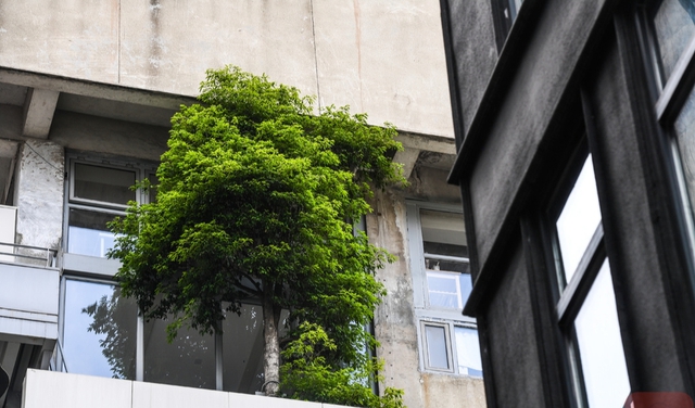 Ban công đặt 5 thứ này, vận may bị chặn đứng, làm mãi không thấy khá- Ảnh 2. Ban công đặt 5 thứ này, vận may bị chặn đứng, làm mãi không thấy khá- Ảnh 2.