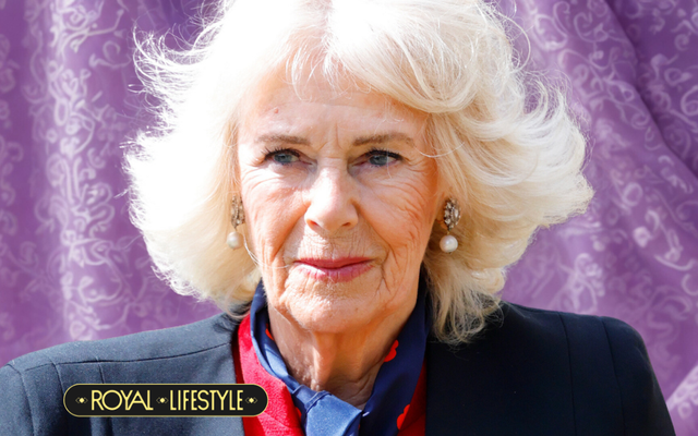 Vương hậu Camilla: Từ “người bị hiểu lầm” thành biểu tượng kiên định của Hoàng gia Anh- Ảnh 2.