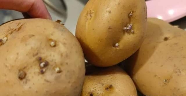 Tủ lạnh hóa "bom nổ chậm" nếu bỏ 7 thứ này vào, số 1 rất nhiều người mắc- Ảnh 3. Tủ lạnh hóa "bom nổ chậm" nếu bỏ 7 thứ này vào, số 1 rất nhiều người mắc- Ảnh 3.