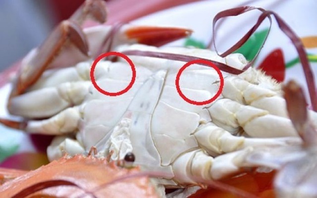 Ghẹ đỏ - ghẹ xanh khác gì nhau? Đi chợ phải nhớ 3 mẹo này để chọn hàng chất lượng- Ảnh 4.