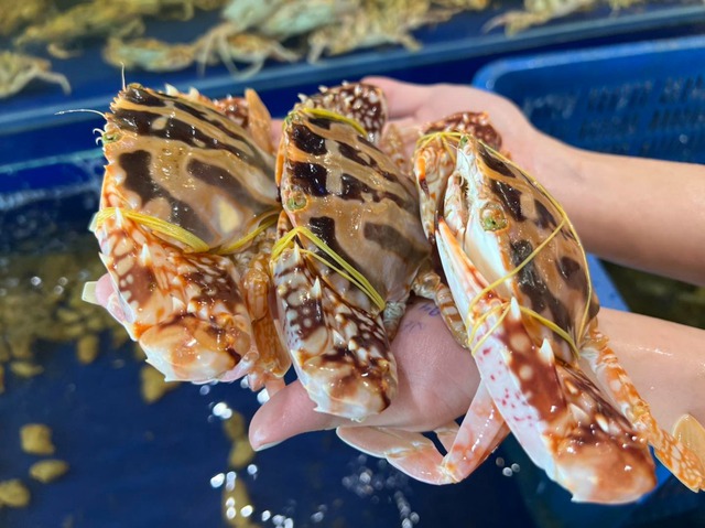Ghẹ đỏ - ghẹ xanh khác gì nhau? Đi chợ phải nhớ 3 mẹo này để chọn hàng chất lượng- Ảnh 3.