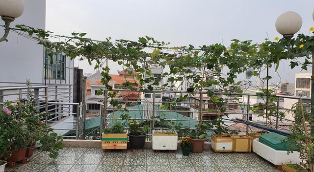 "Nữ hoàng dân ca" Việt ở biệt thự 20 tỷ đồng- Ảnh 10.