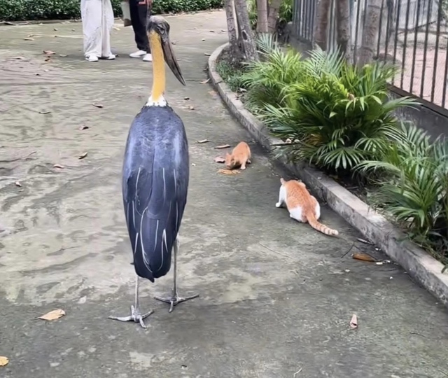 Không ngờ tới những "nhân viên tiêu biểu" đã giúp Thảo Cầm Viên đạt doanh thu trăm tỷ- Ảnh 5.