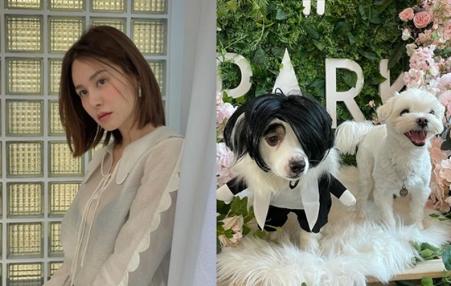 Công chúng dậy sóng với thông tin mới liên quan tới đời tư của tài tử Song Seung Hun - Ảnh 1.