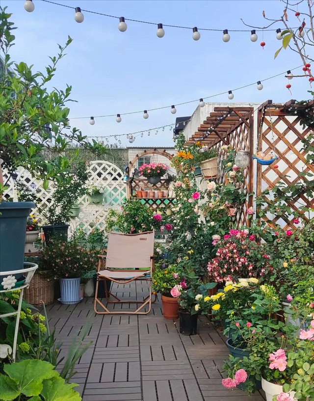 Căn nhà của Dương Vũ Anh, 53 tuổi, gây sốt: Decor sân vườn, bếp nhỏ, góc đọc sách đẹp như tạp chí- Ảnh 4.