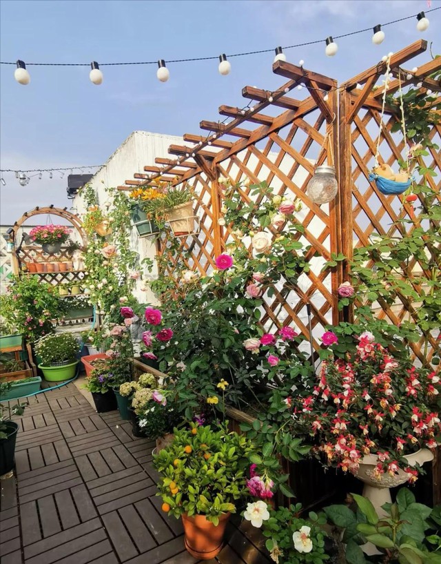 Căn nhà của Dương Vũ Anh, 53 tuổi, gây sốt: Decor sân vườn, bếp nhỏ, góc đọc sách đẹp như tạp chí- Ảnh 3.