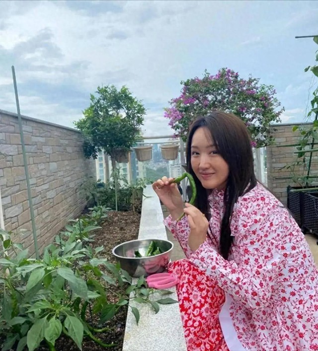 Căn nhà của Dương Vũ Anh, 53 tuổi, gây sốt: Decor sân vườn, bếp nhỏ, góc đọc sách đẹp như tạp chí- Ảnh 1.