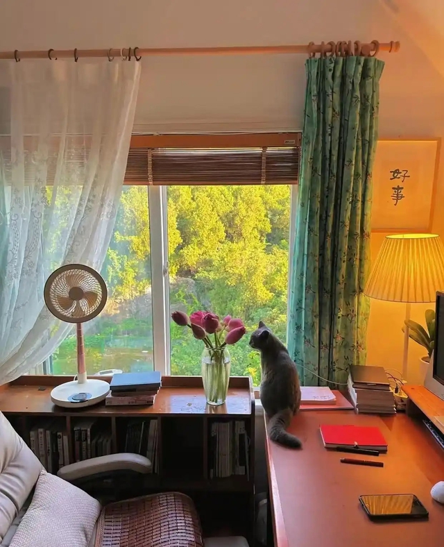 Ngôi nhà của bà cụ 92 tuổi gây xúc động: Như bước ra như hoạt hình Ghibli, góc nào cũng chữa lành- Ảnh 17. Ngôi nhà của bà cụ 92 tuổi gây xúc động: Như bước ra như hoạt hình Ghibli, góc nào cũng chữa lành- Ảnh 17.