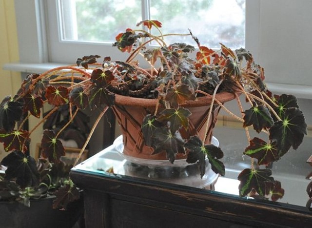 5 dấu hiệu Thần Tài bỏ nhà bạn đi xa- Ảnh 3. 5 dấu hiệu Thần Tài bỏ nhà bạn đi xa- Ảnh 3.