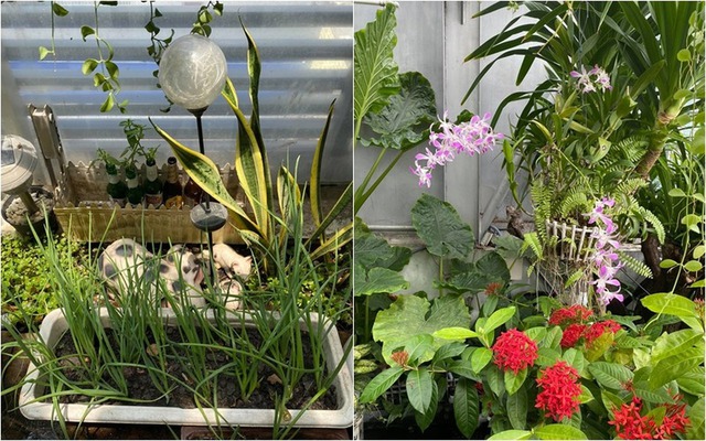 Bên trong ngôi nhà "100 tỷ mặt tiền quận 1" - nơi Diệp Lâm Anh và chồng cũ "var nhau"- Ảnh 6. Bên trong ngôi nhà "100 tỷ mặt tiền quận 1" - nơi Diệp Lâm Anh và chồng cũ "var nhau"- Ảnh 6.