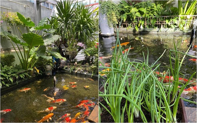 Bên trong ngôi nhà "100 tỷ mặt tiền quận 1" - nơi Diệp Lâm Anh và chồng cũ "var nhau"- Ảnh 5. Bên trong ngôi nhà "100 tỷ mặt tiền quận 1" - nơi Diệp Lâm Anh và chồng cũ "var nhau"- Ảnh 5.