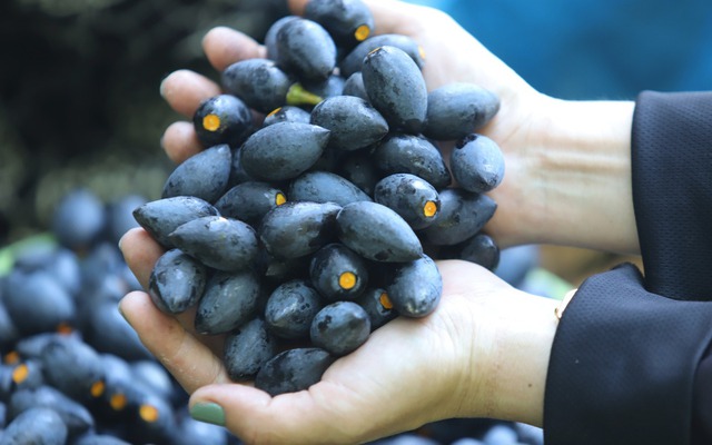 Loại quả "đen như than, đắt như thịt" nhưng nườm nượp người mua, bán đầy rẫy ở chợ Việt- Ảnh 1. Loại quả "đen như than, đắt như thịt" nhưng nườm nượp người mua, bán đầy rẫy ở chợ Việt- Ảnh 1.