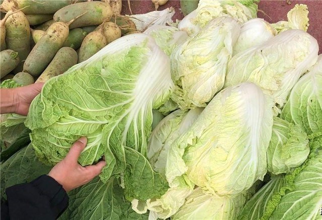 Đi chợ thấy 5 loại rau này thì "quay xe", dù người bán cho không cũng KHÔNG LẤY- Ảnh 6. Đi chợ thấy 5 loại rau này thì "quay xe", dù người bán cho không cũng KHÔNG LẤY- Ảnh 6.