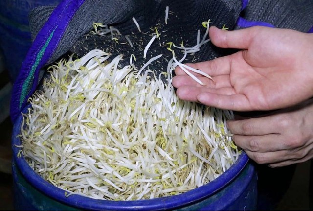 Đi chợ thấy 5 loại rau này thì "quay xe", dù người bán cho không cũng KHÔNG LẤY- Ảnh 3. Đi chợ thấy 5 loại rau này thì "quay xe", dù người bán cho không cũng KHÔNG LẤY- Ảnh 3.