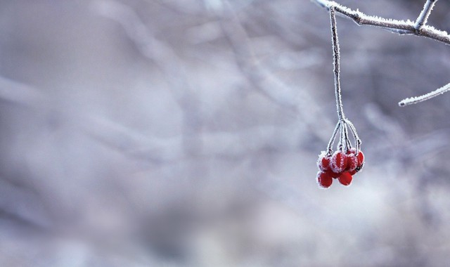 Tiết Lập Đông năm 2025 có gì đặc biệt?- Ảnh 2.