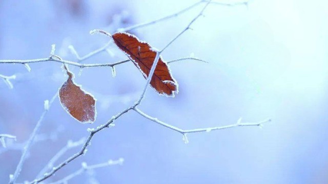 Tiết Lập Đông năm 2025 có gì đặc biệt?- Ảnh 3.