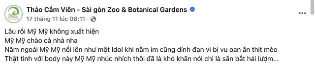 "Nằm im cũng dính đạn": Cá sấu Thảo Cầm Viên được rửa oan và lại gây bão mạng- Ảnh 1.